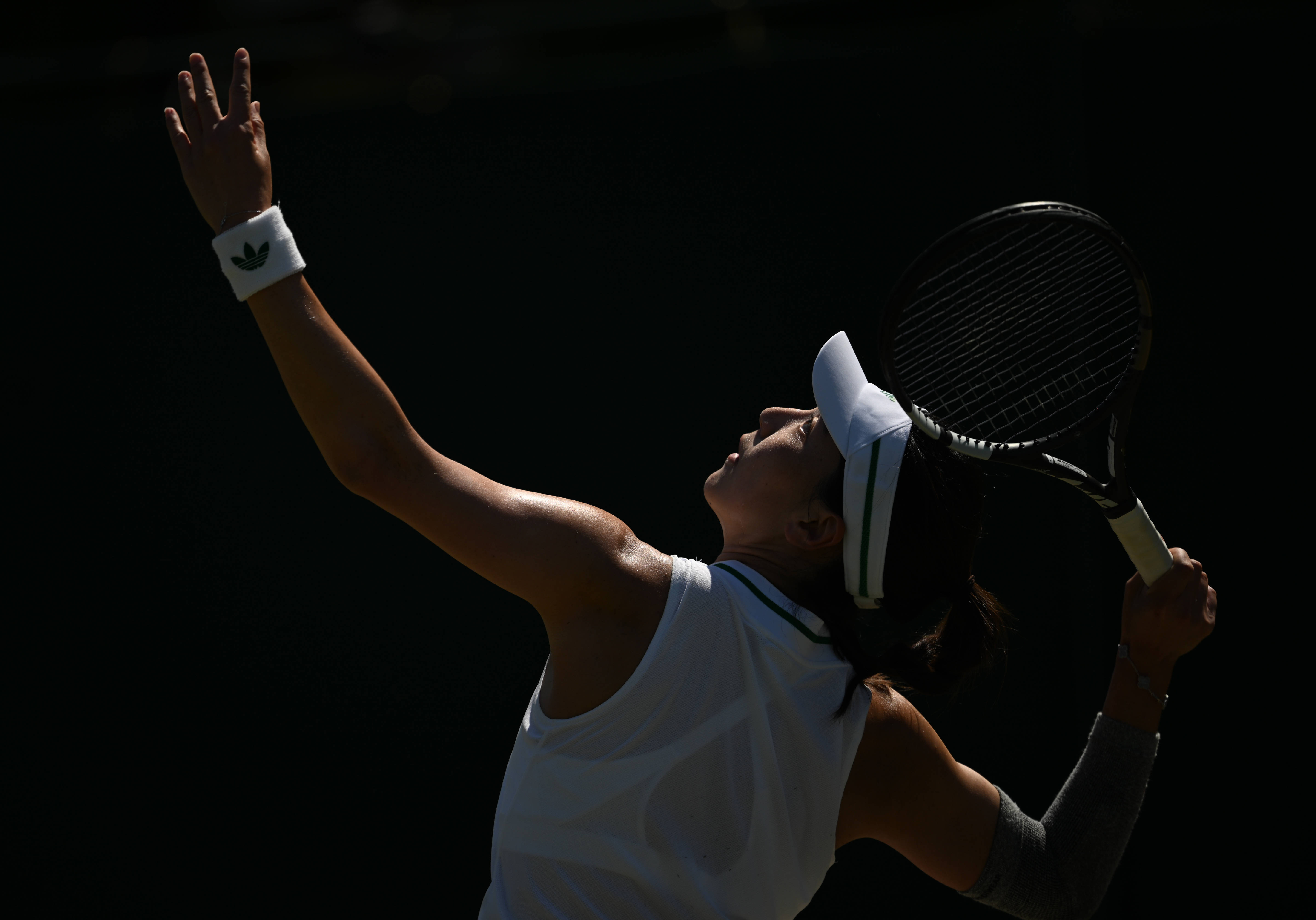 温网绝杀法网，蒂姆状态火热